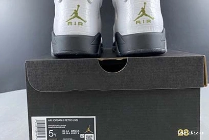Modern 7057 6 Jordan 634 Air 384665- GS “Alligator” 1012